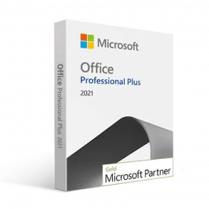 Office 2021 professional plus