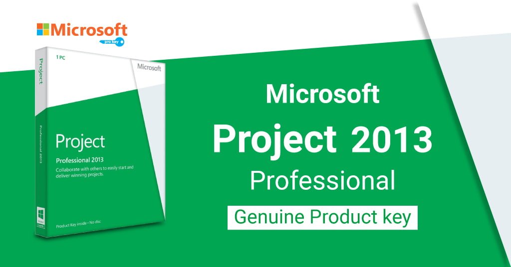 Microsoft Project Professional 2013