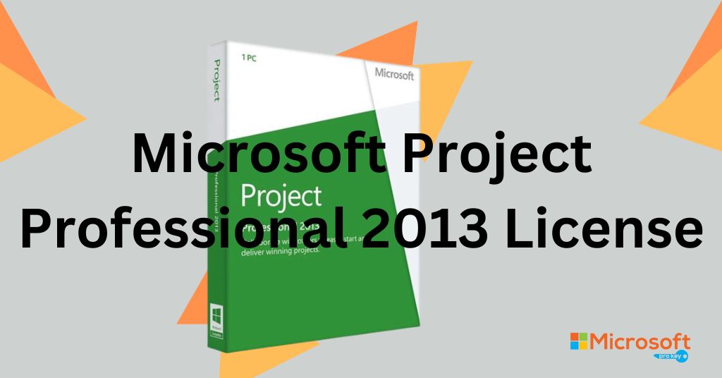 Microsoft Project Professional 2013