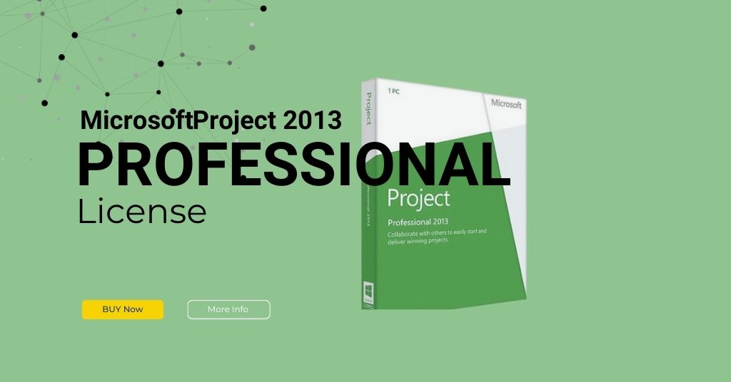 Microsoft Project 2013